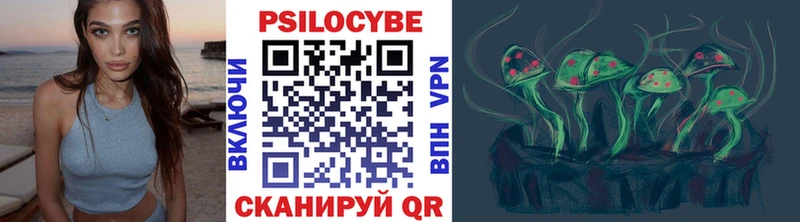 площадка какой сайт  наркотики  Боготол  Псилоцибиновые грибы Magic Shrooms 